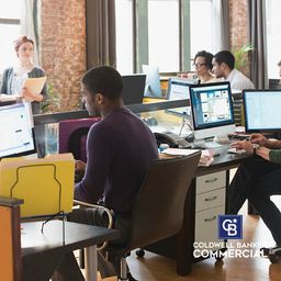 Young Professionals Working in an Office