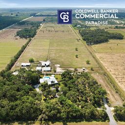 Ariel View of Citrus Grove