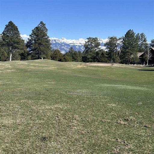 TBD V314 Marmot Drive Ridgway, CO
				81432