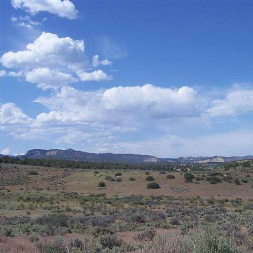 Mineral Springs Road #1 Mount Carmel, UT
				84755