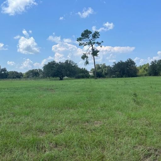 XXX US 27 South Colquitt, GA
				39837