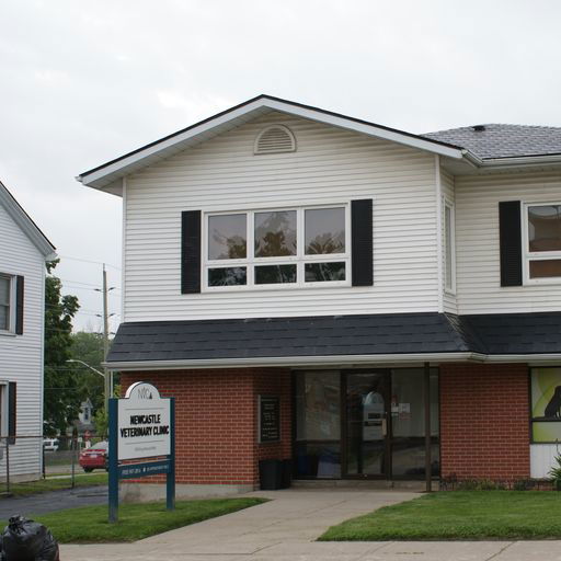 108 King Ave W Newcastle, ON
				L1B 1H7
