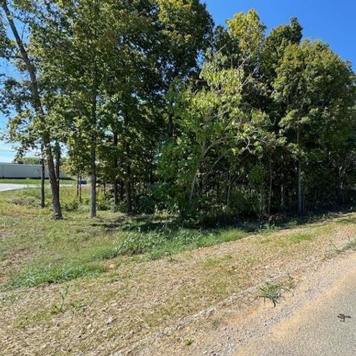 Tract 3 Carroll Knicely Drive Glasgow, KY
				42141