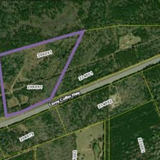 43 Acres Leroy Coffer Hwy Midway, GA
				31320